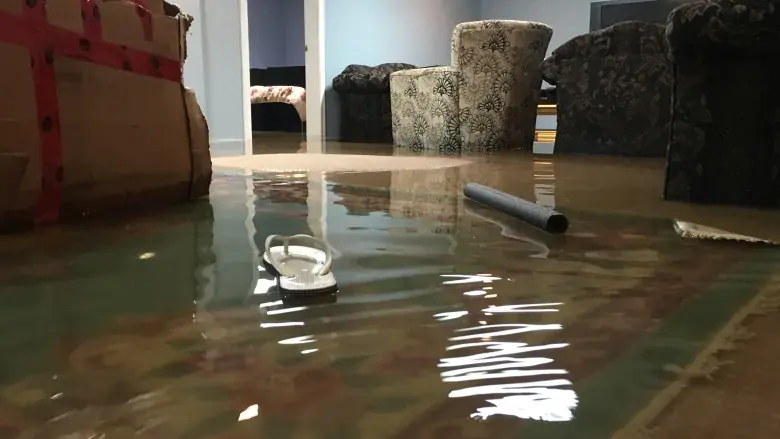 Spring thaw flood dried in a Channel Lake basement in Antioch, IL